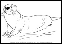 How to Draw an African Clawless Otter