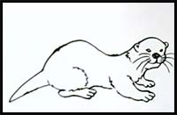 How to Draw an Otter