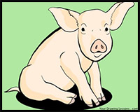 How to Draw a Pig