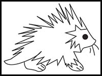 How to Draw Cartoon Porcupines & Realistic Porcupines : Drawing