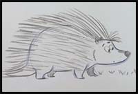 porcupine drawing for kids