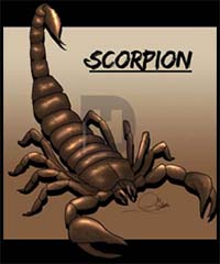 How to Draw a Scorpion