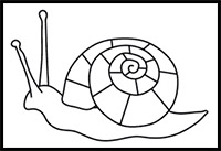 how to draw a snail