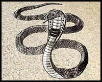 How to Draw a Snake (Cobra)