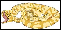 How to Draw a Python