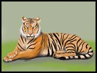 how to draw a realistic tiger for kids