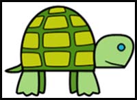 How to Draw a Turtle