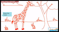 how to draw a giraffe