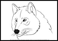 How to Draw Cartoon Wolves & Realistic Wolves : Drawing Tutorials ...