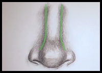 3 Ways to Draw a Nose