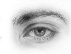 How to Draw Eyes & How to Draw the Face Drawing Tutorials: Drawing ...