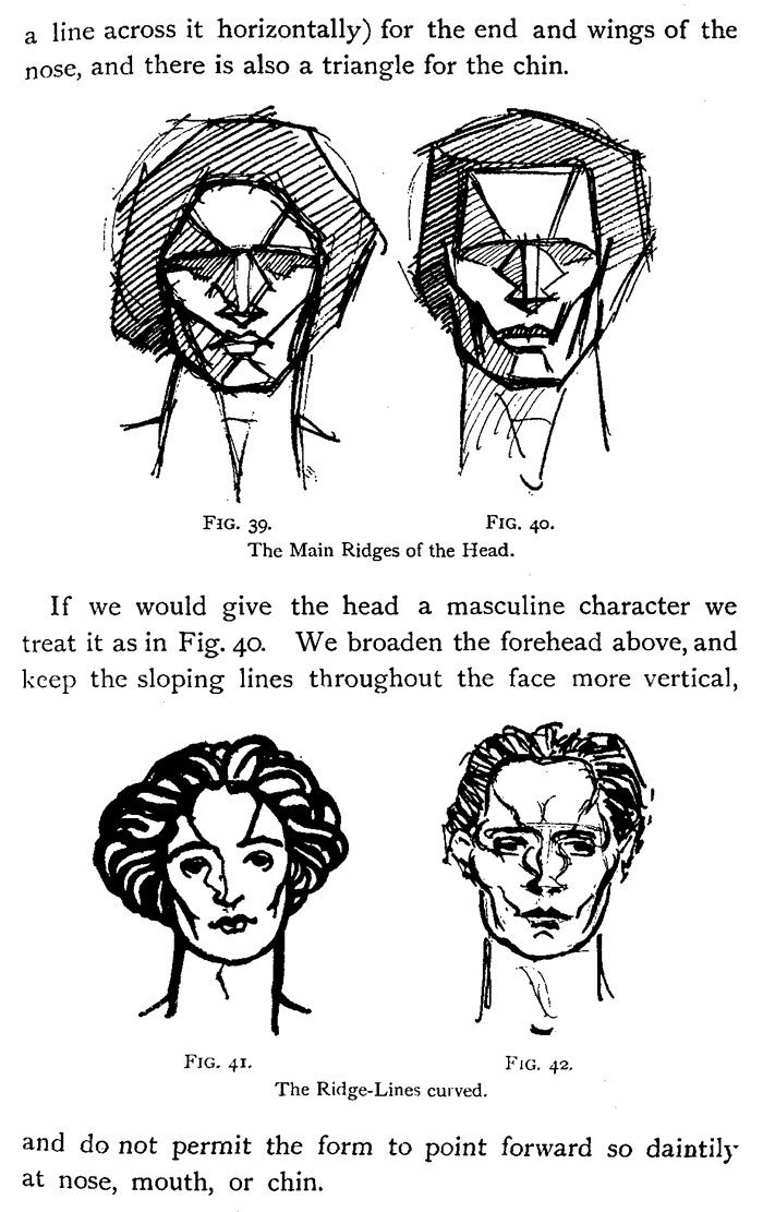 Drawing the Ridges on the Head