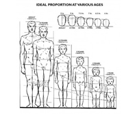 Proportions of the Human Figure : How to Draw People in Correct Ratios ...