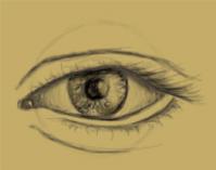 How to Draw Female Eyes & How to Draw Female Eyes Drawing Tutorials ...