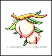 How to Draw Peaches Growing on the Tree Step by Step for Kids