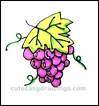 How to Draw a Bunch of Ripe Grapes Step by Step for Kids