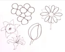 How to Draw Flower