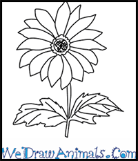 Lotus Simple Easy Flower Drawing With Name - j-e-t-a-i-m--e