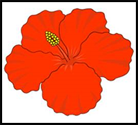 How to Draw Cartoon Hibiscus Drawing