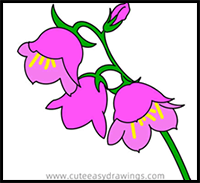 Lily of the Valley Flowers Drawing Step by Step for Kids