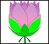 Blooming Lotus Flower Drawing