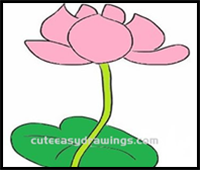 How to Draw Colored Lotus Step by Step for Kids