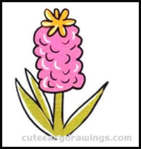 How to Draw a Pink Hyacinth Step by Step for Kids