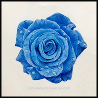 How to Draw a Blue Rose with Colored Pencils Step by Step