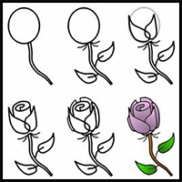 How to Draw Rose