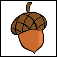 Acorn Drawing Easy