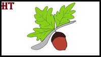 How to Draw an Acorn Step by Step