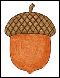 How to Draw an Acorn: Easy Step-by-Step Art Lesson for Kids