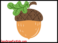 How to Draw an Acorn – 3 Ways (With Pictures)