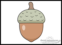 How to Draw an Acorn Step by Step