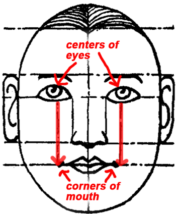 The mouth is usually two eyes wide and is best located by drawing an imaginary line down from the center of each eye