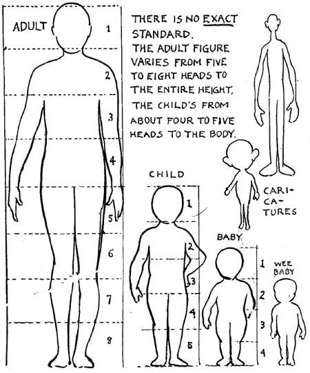 Drawing the Human Body & People in its Correct Ratios and Proportions of  body parts in relation to eachother