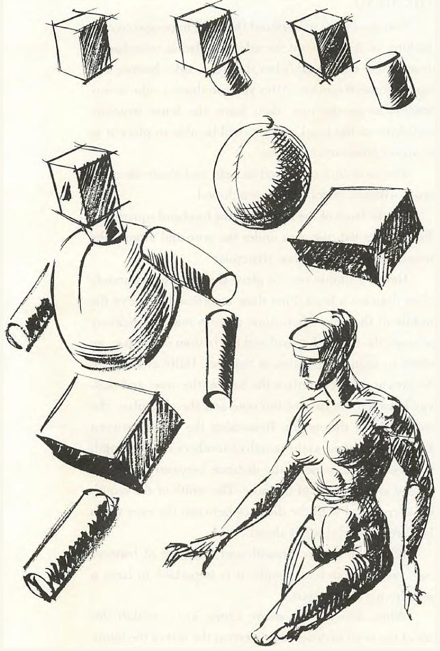 human anatomy drawing with labels