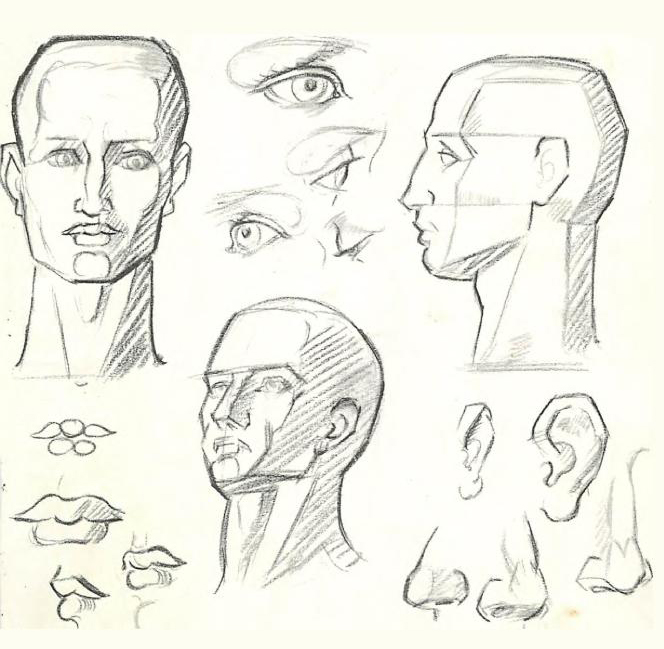 How To Draw The Human Figure Drawing Body Head Facial