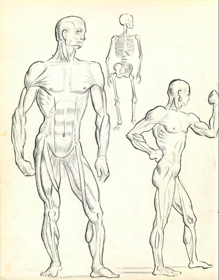 how to draw a man body