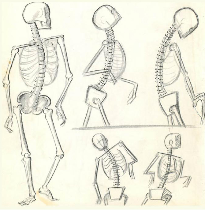 How To Draw The Human Figure Drawing Body Head Facial Features How To Draw Step By Step Drawing Tutorials