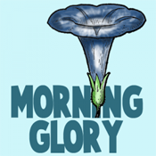 How to Draw Morning Glory Flower Step by Step Drawing Tutorial 