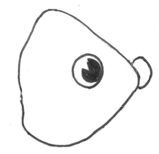 Step 4 How to Draw a Cartoon Fish Step by Step Drawing Tutorial for Kids