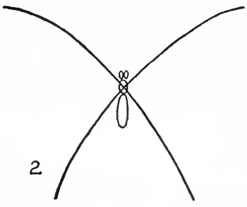 Featured image of post Drawing Images Side Easy Butterfly Drawing / Each of our tutorials comes with a handy directed use these objects on their own or as little images to complement your other drawings.