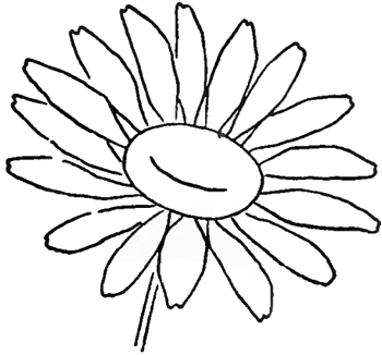 How to Draw a Daisy From Easy Simple Shapes