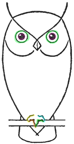 How to Draw Owls with Step by Step Drawing Lesson How to