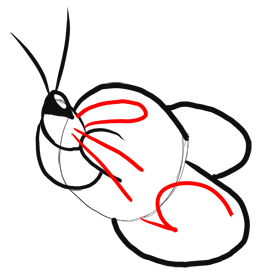 how to draw jerry the mouse