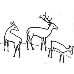 simple baby deer drawing