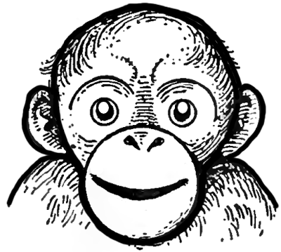 smiling chimpanzee drawing