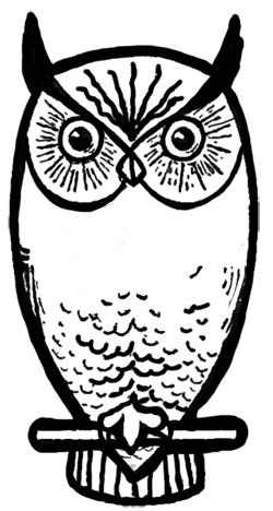 Drawing Owls – How to Draw Owls Step by Step Tutorial – How to Draw ...