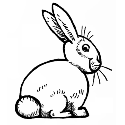 Rabbit simple drawing - passavue-saigonsouth.com.vn
